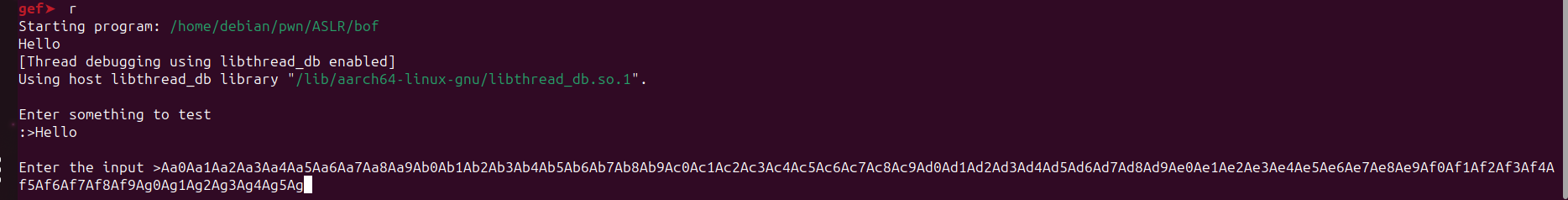 GDB loading binary and running with pattern input