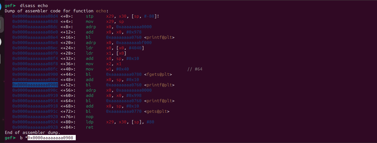Breakpoint set at printf in echo function disassembly