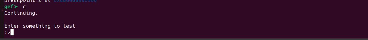 Program waiting for user input at the format string prompt