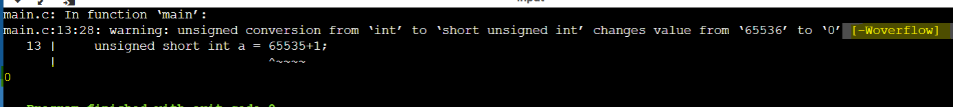 Program output showing 0 after unsigned short int overflow with warning