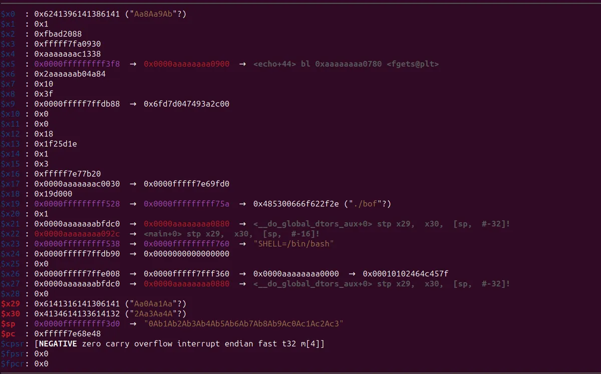Register state showing pattern values loaded into x0 and x30