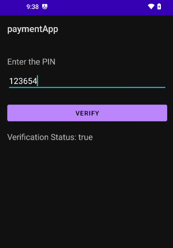 PaymentApp showing Verification Status True after replacing hardcoded base64 PIN in memory