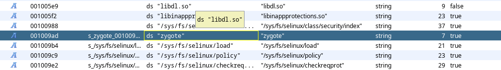 Ghidra strings section showing hardcoded zygote string used for detection