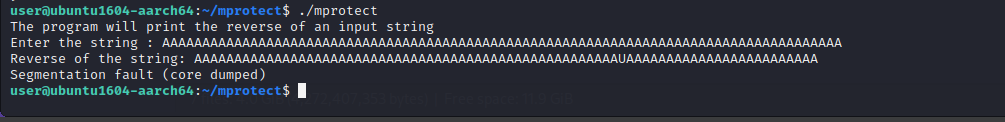 Program crash after supplying large input string