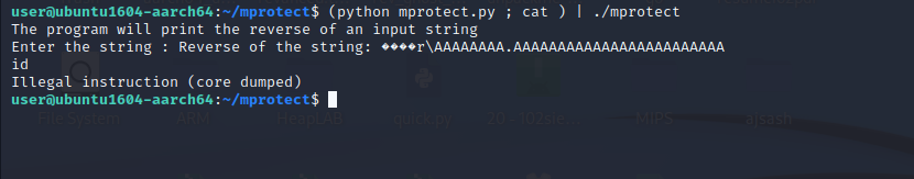 Program crash when running exploit outside GDB