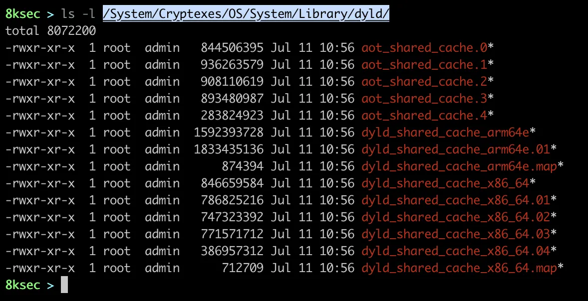 Terminal output showing the file system location of the dyld_shared_cache on macOS Ventura
