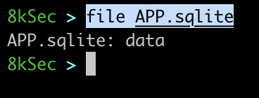 EncryptedStore sqlite database in the Documents directory