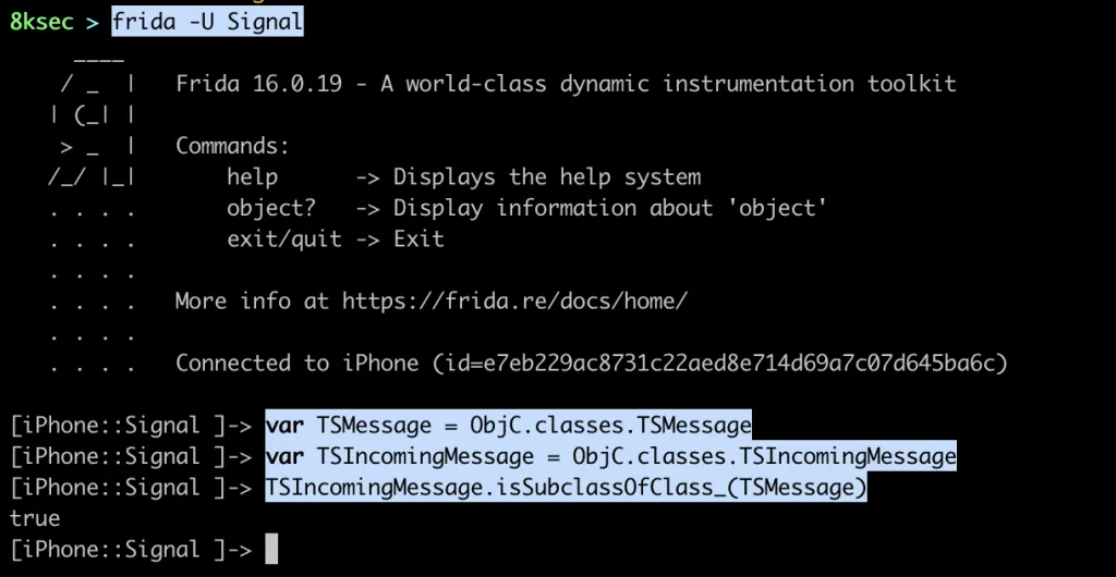 Frida confirming TSIncomingMessage is a subclass of TSMessage via superclass chain
