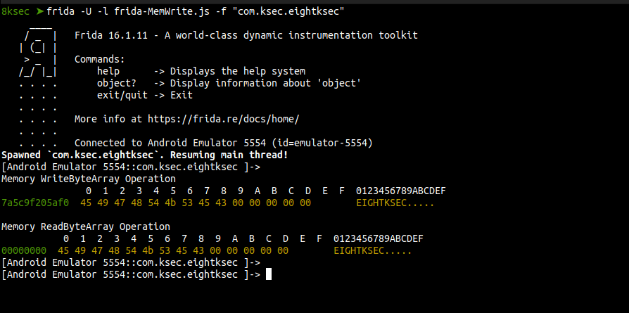 Frida script output showing successful Memory.writeByteArray and readByteArray for EIGHTKSEC