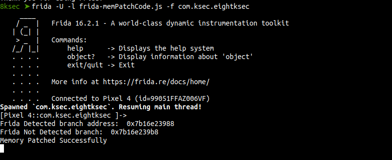 Frida Memory.patchCode script output confirming successful memory patch and branch redirect
