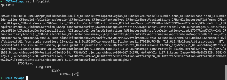 Info.plist displayed as binary/encoded data before conversion with plutil
