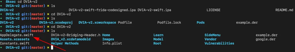 Terminal showing AppDelegate.swift located inside DVIA-v2 app bundle via command line
