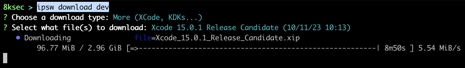 IPSW download dev command output showing developer beta firmware available for download