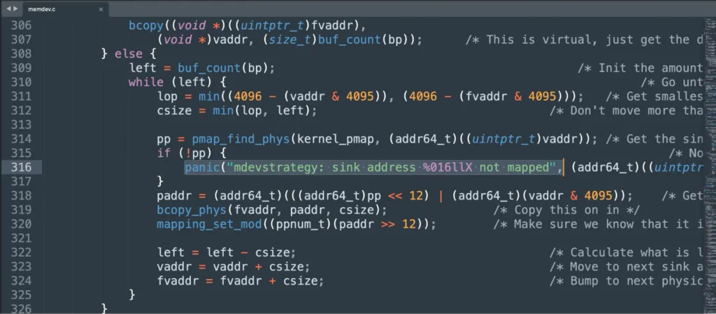 XNU kernel source code showing the panic() function signature taking a string argument