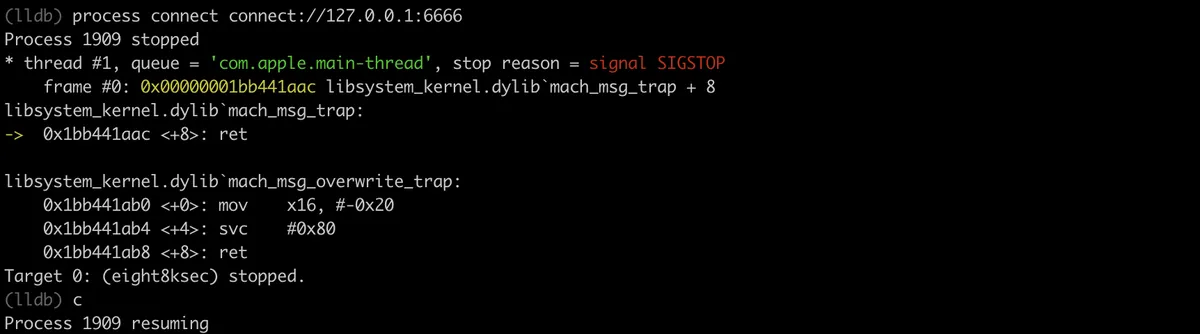 lldb terminal connecting to remote debugserver via process connect command