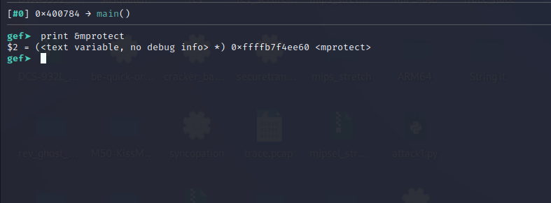GDB print command showing mprotect function address