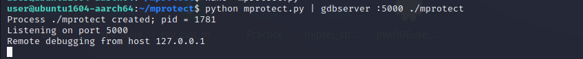 Running exploit in GDB showing mprotect call succeeding