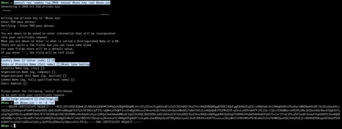 OpenSSL command generating a CSR and private key for a signing certificate