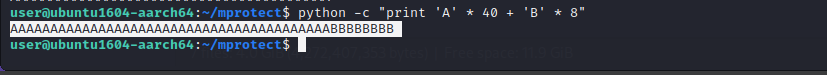 Generating 40 A characters and 8 B characters for overflow test
