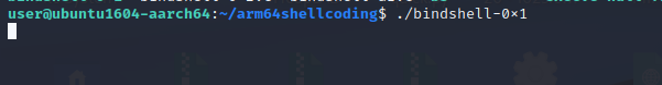 shellcode-12