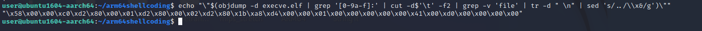 shellcode-9