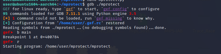 GDB loading binary and running to get stack address