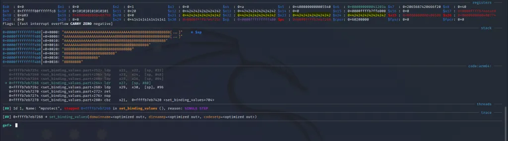 Registers x21 x22 x23 x24 filled with B characters as expected