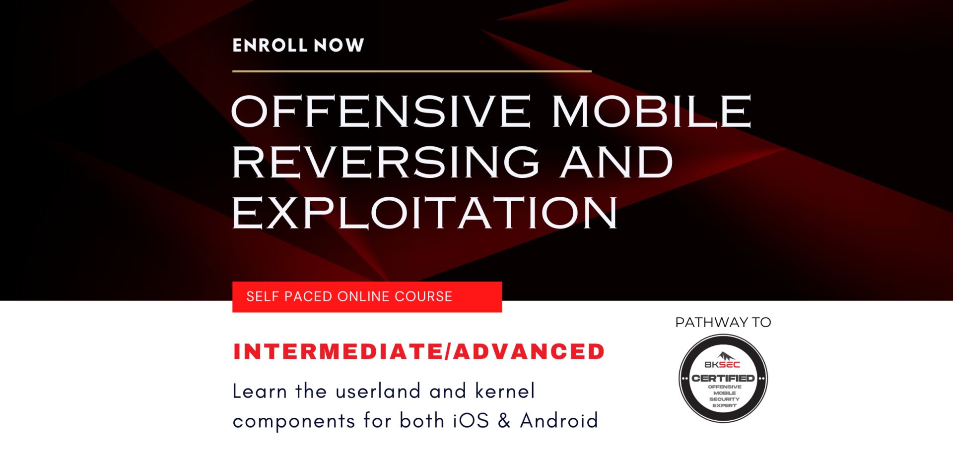 Offensive Mobile Reversing and Exploitation